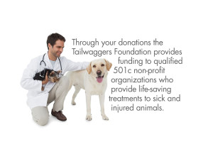 The Tailwaggers Foundation provides funding to qualified 501c non-profit organizations who provide life-saving treatments to sick and injured animals.