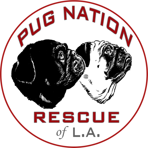 Pug nation rescue of L.A.